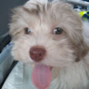 Meet your Posher, Lucie